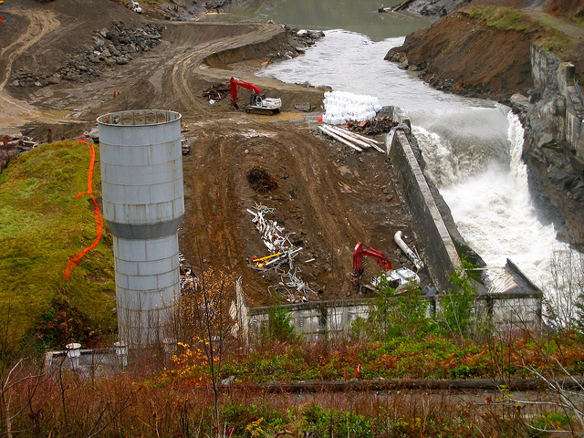 Dismantling the Elwha River Dam
