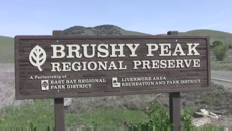 Brushy peak sign