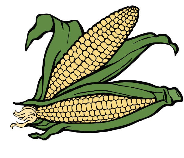 Against Creation: Alarming Results of Secret Study on Transgenic Maize Revealed