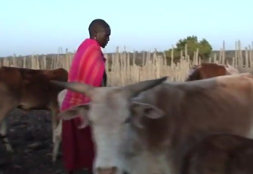 Biocultural Community Protocols