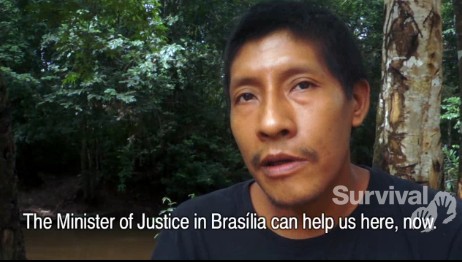 Awá Peoples send another urgent plea to evict loggers from their homeland
