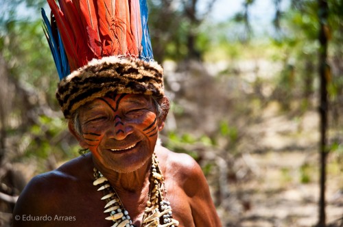 Q&A: ‘Traditional forest knowledge is not folklore, but a resource for change’