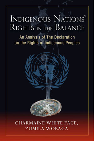 Breaking down the UN Declaration on the Rights of Indigenous Peoples
