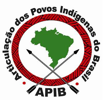 Declaration of the National Indigenous Mobilization
