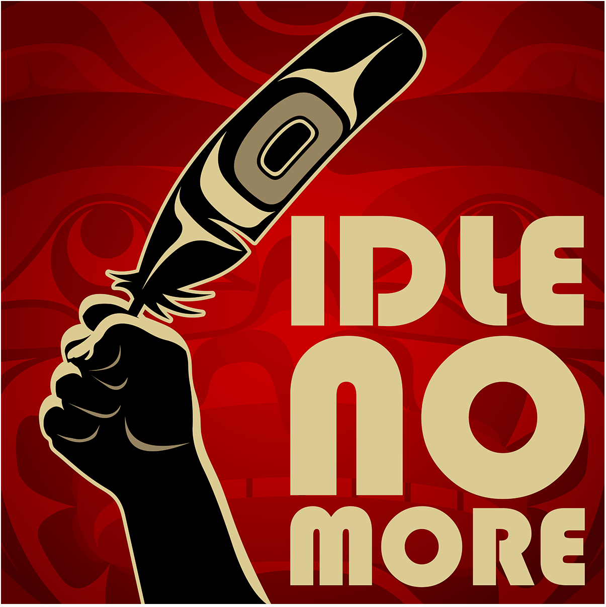 2013 01 02 idlenomore