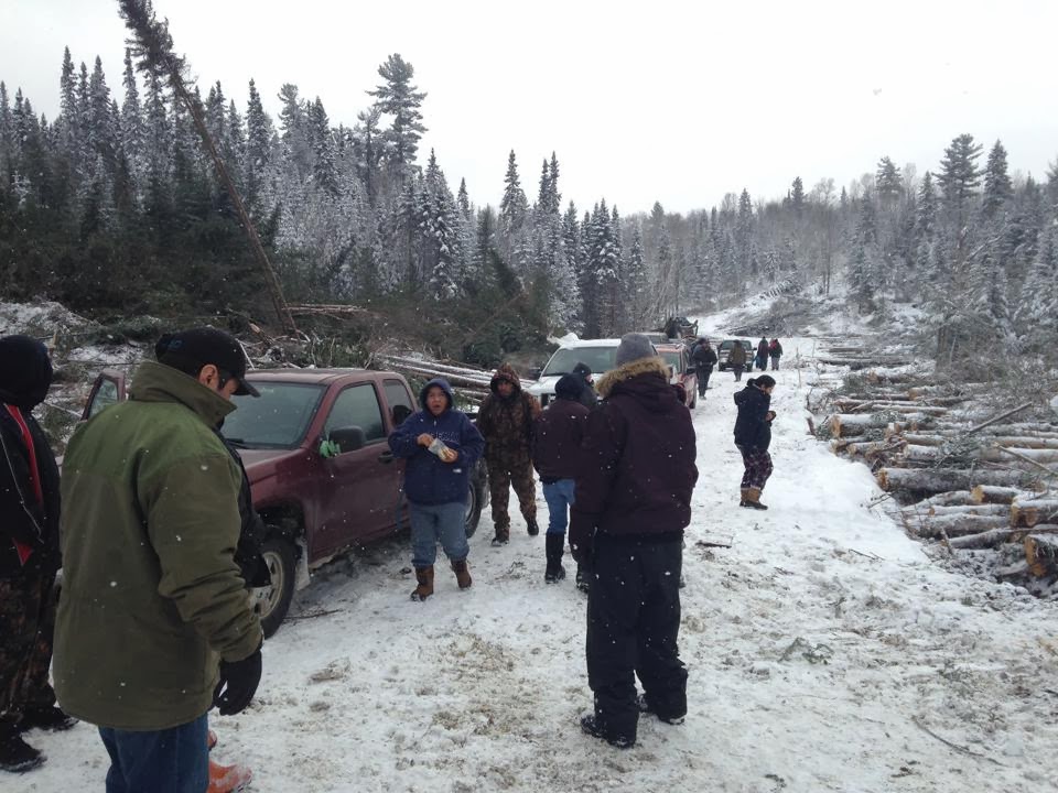 Barriere Lake Stop Unauthorized Forestry Operations