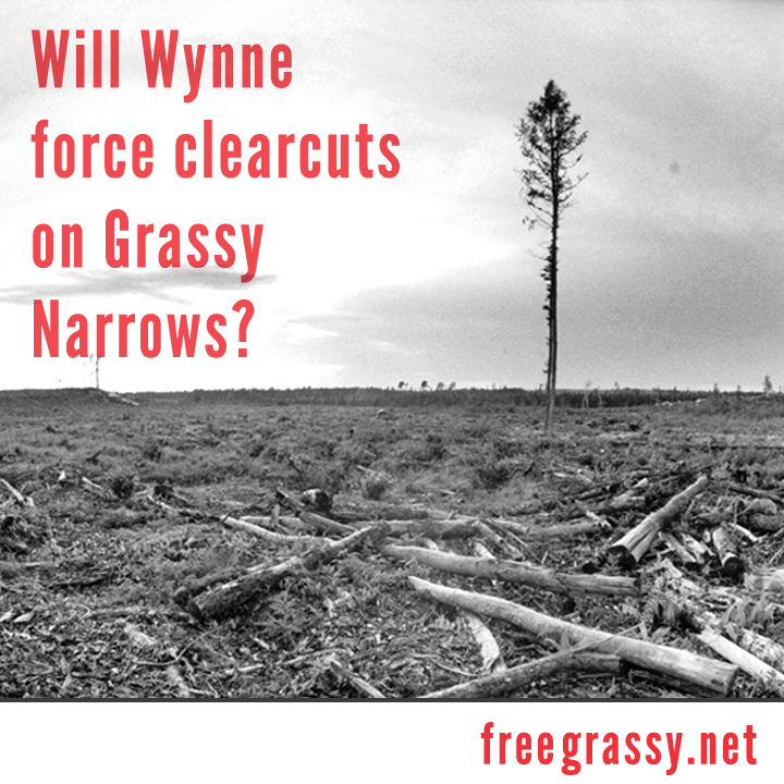 Another decade of clearcut logging in Grassy Narrows approved