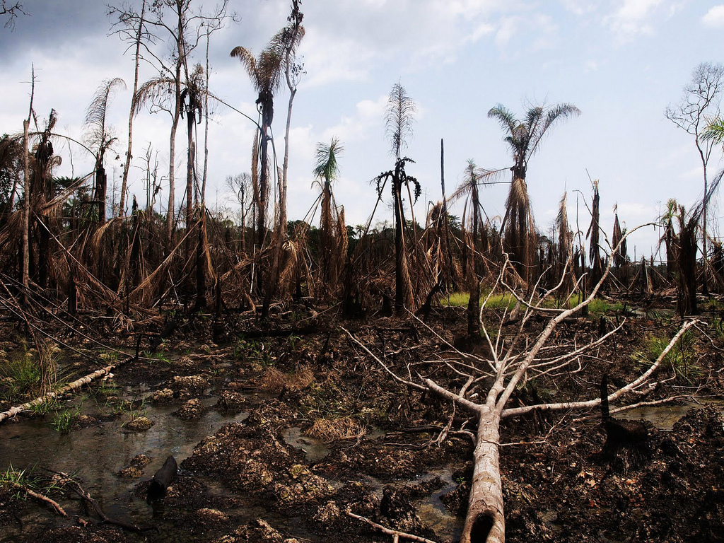 niger delta oil disaster