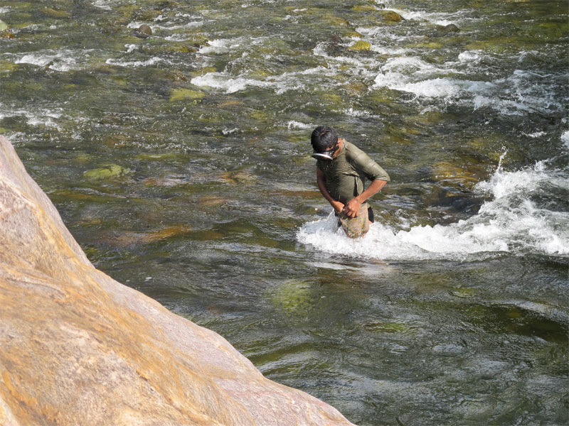 Fishing for shrimp in the Tabasara  (Photo: Jennifer Kennedy)