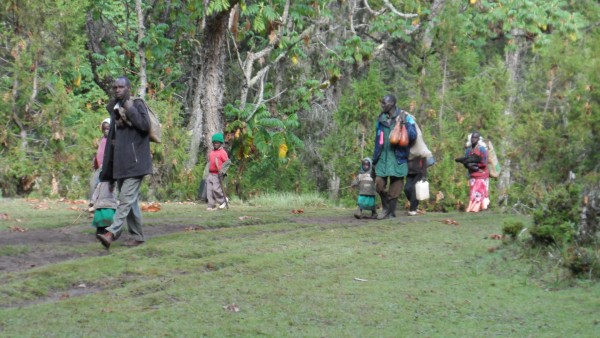 Forced Relocation of Sengwer People proves urgency of canceling REDD