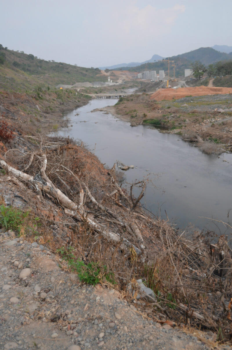 A planned waterline amidst cleared forest