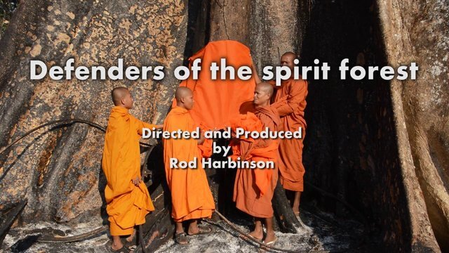Defenders of the Spirit Forest
