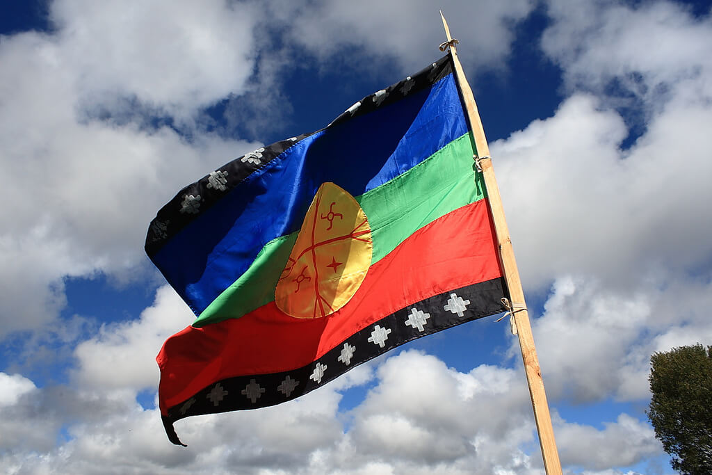 Mapuche flag