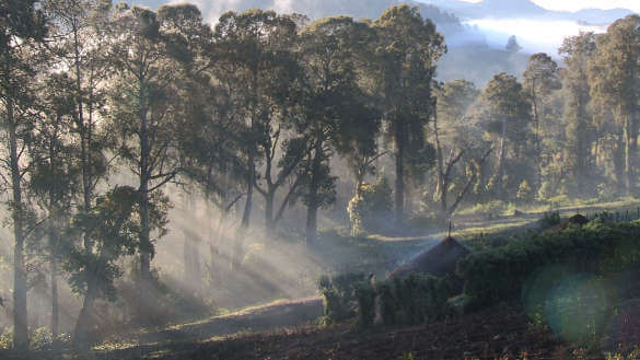 Sengwer Home on the edge of Embobut