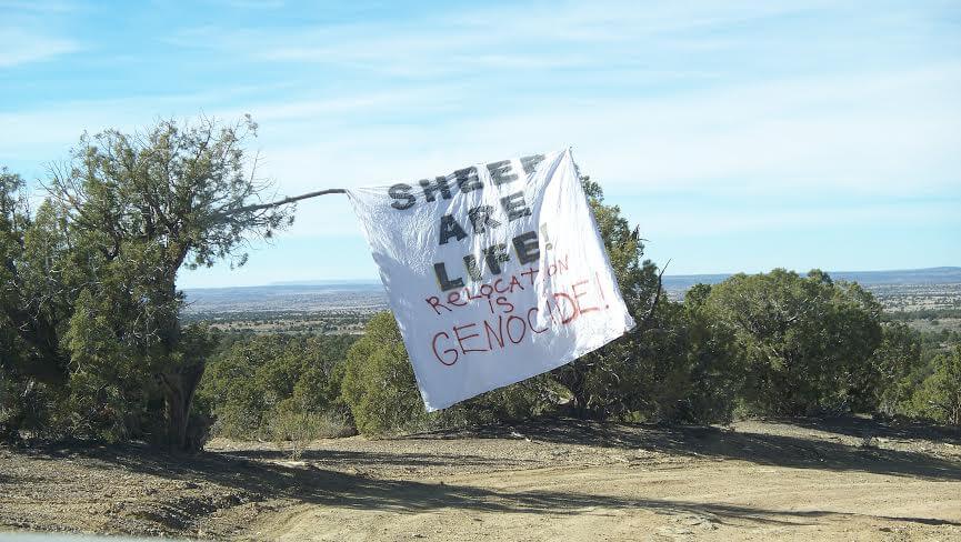 Sheeparelifebanner