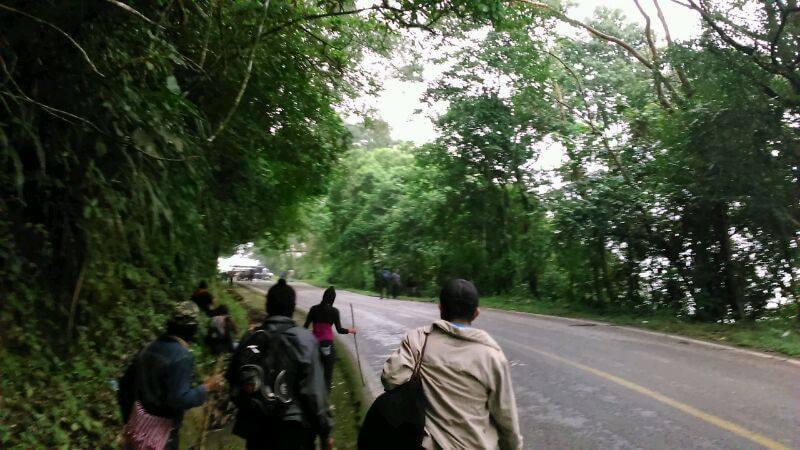 #AlertaBachajón – Police shoot at indigenous Tseltales trying to recover lands