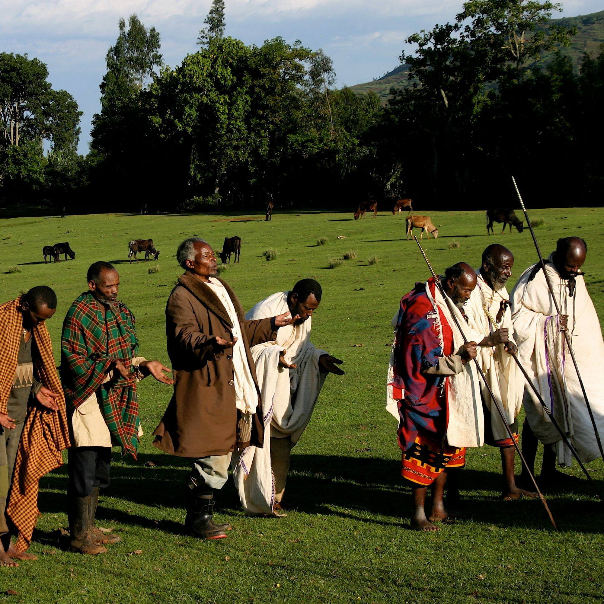 Gamo elders pray on their sacred Dorbo Meadow in Gamo Highlands in Ethiopia. (Photo: Toby McLeod)
