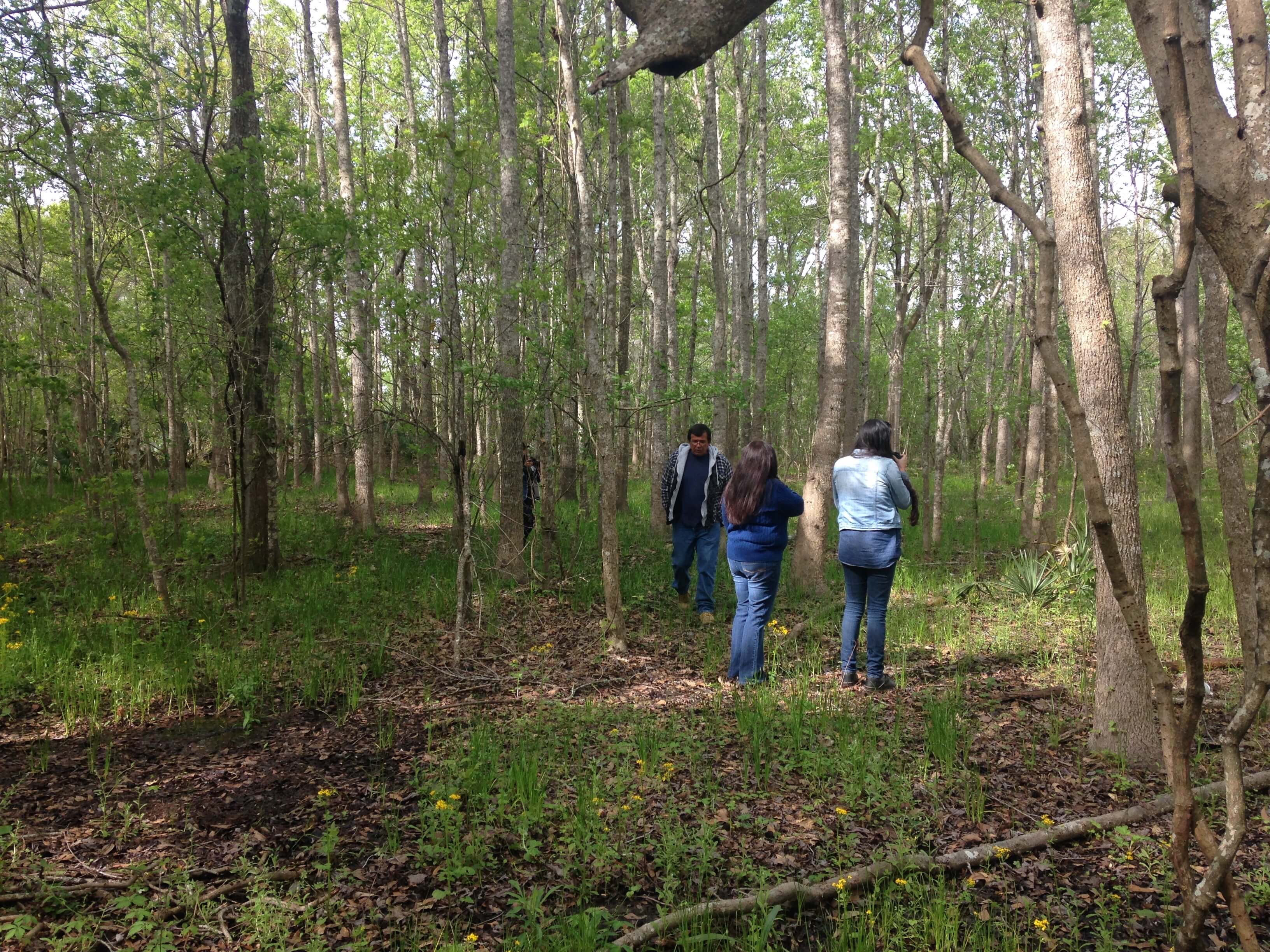 A Houma Indian Mound in Houma, LA. Photo: Bennett Collins