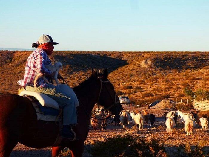Lamgen from Campo Maripe, 2015. Photo by Checho Maripe