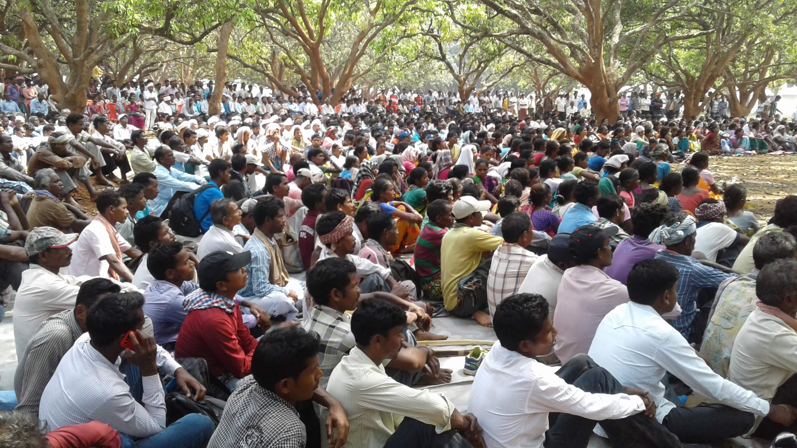 crowd 1