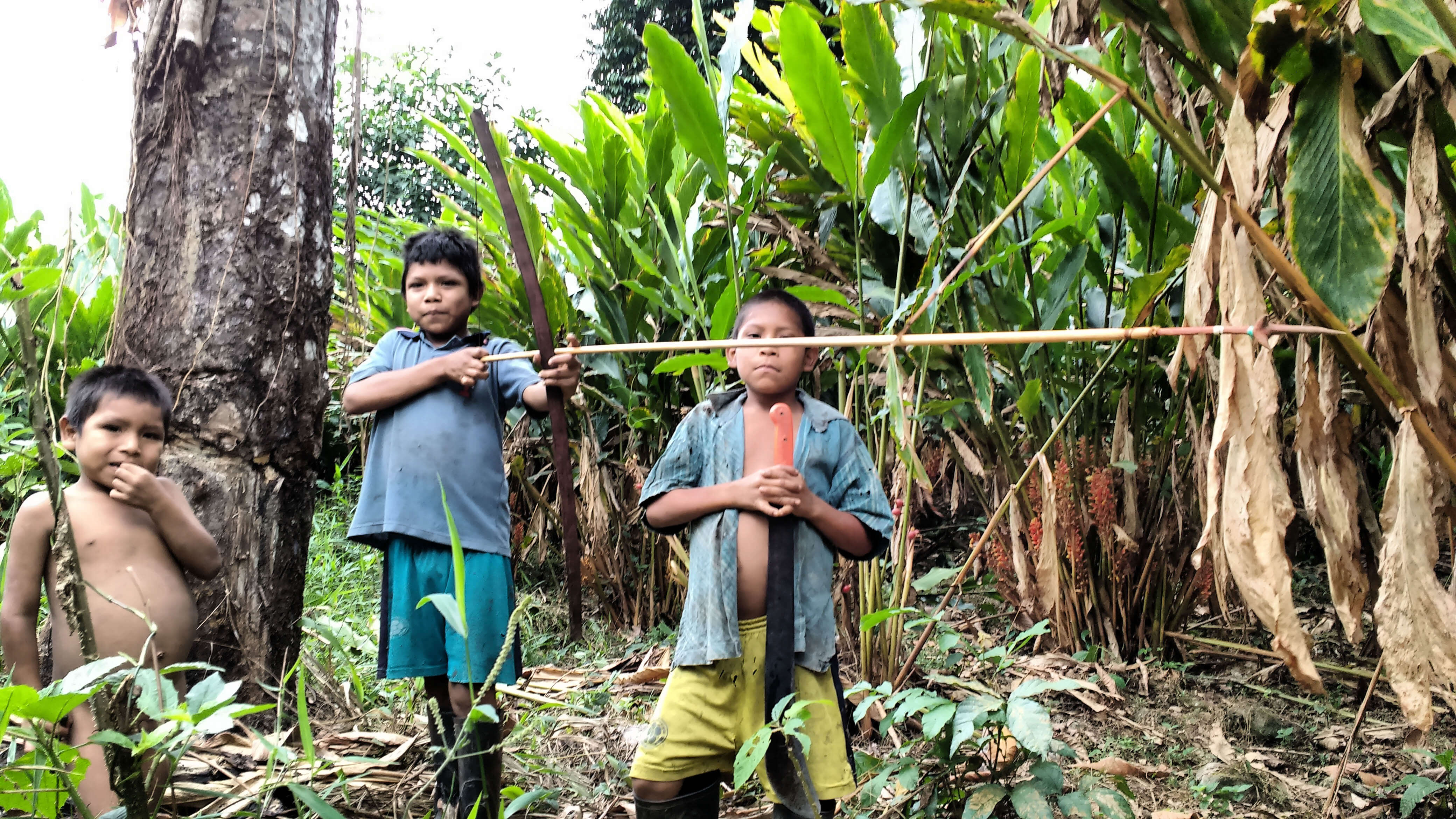 Uwa children resguardo