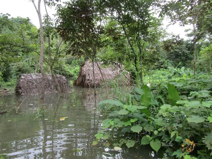 Submerged houses. Photo: Ricardo Miranda