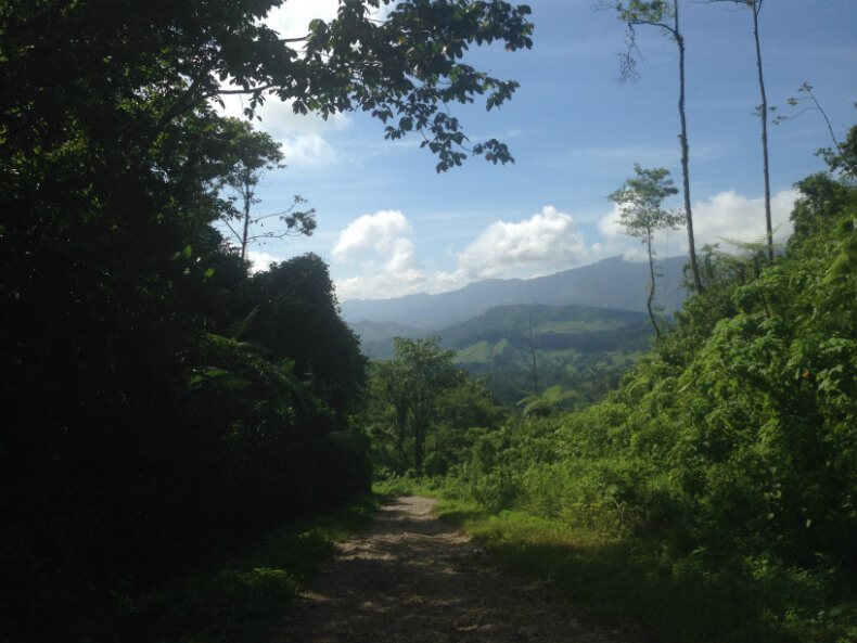 From Ixcán, it takes about two hours to reach the communal assembly house of Copones. This  picture shows the communal building nested among trees and mountains, all Copones territory. Photo: Manuela Picq