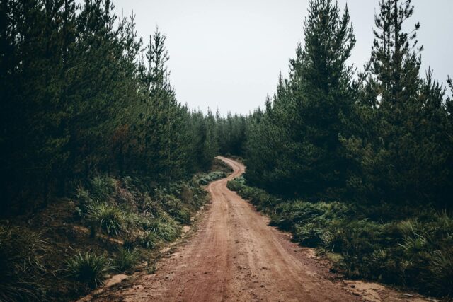 Pexels micah boerma 327482