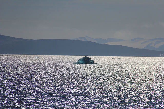 Icebergs float in Baffin Bay, but very little sea ice is present. (Photo: Chris Williams)