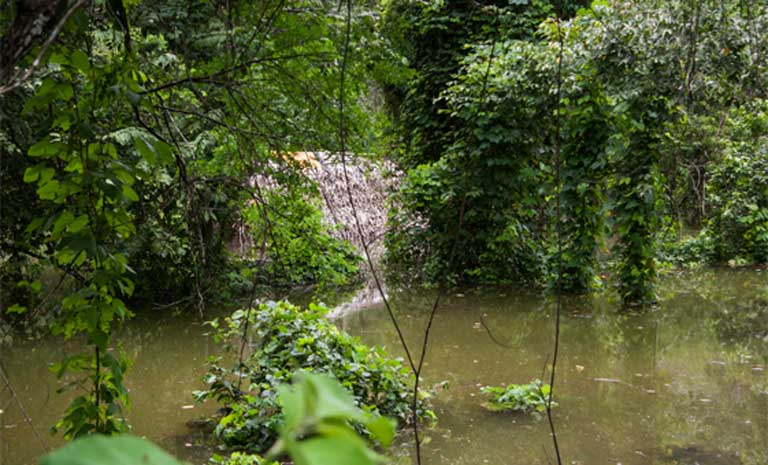 The roof of a flooded house in the Ngäbe community of Quebrada Caña, upstream of the Barro Blanco Dam. Photo by Camilo Mejia Giraldo