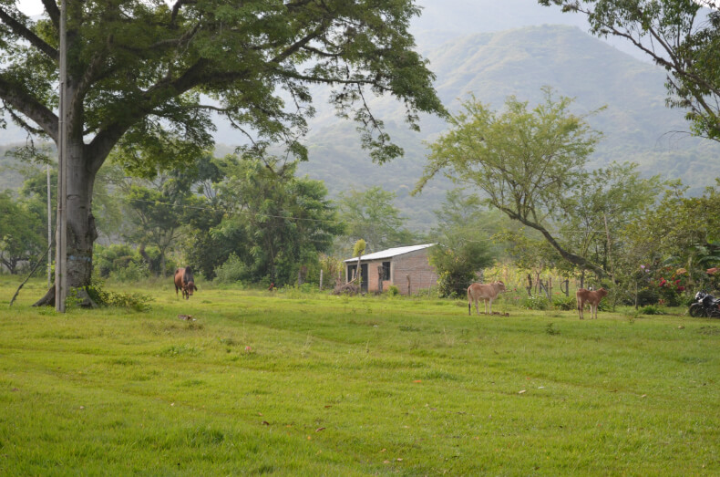 The reservation of Huellas, Caloto, where the mountains meet the plains. Photo: Robin Llewellyn
