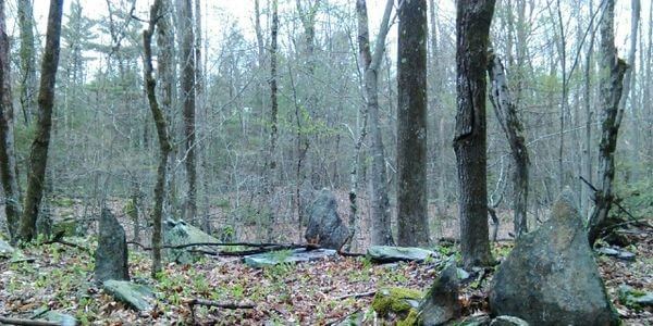 Luchas contra la colonización en los EE. UU: Mohicanos en Massachusetts