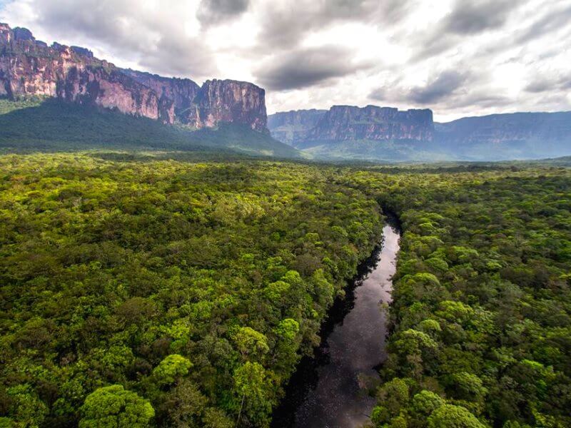 Saving the Venezuelan Amazon