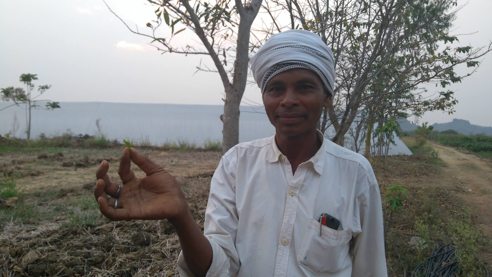 Mane Singh holding a leaf that is supposed to aid digestion