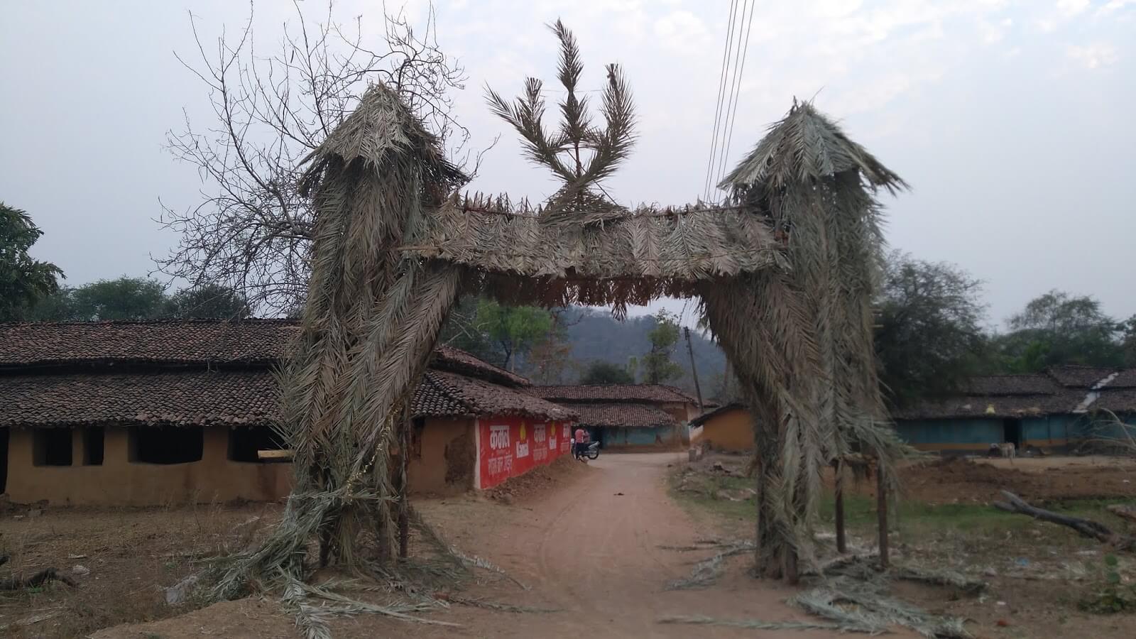 Seeds of an ancient culture