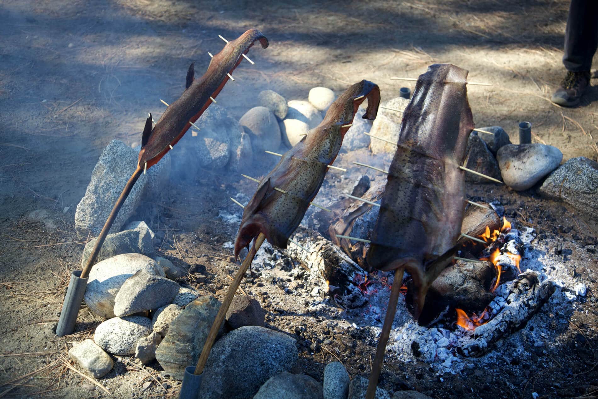 IC to launch new 12-part series on health impacts of indigenous food