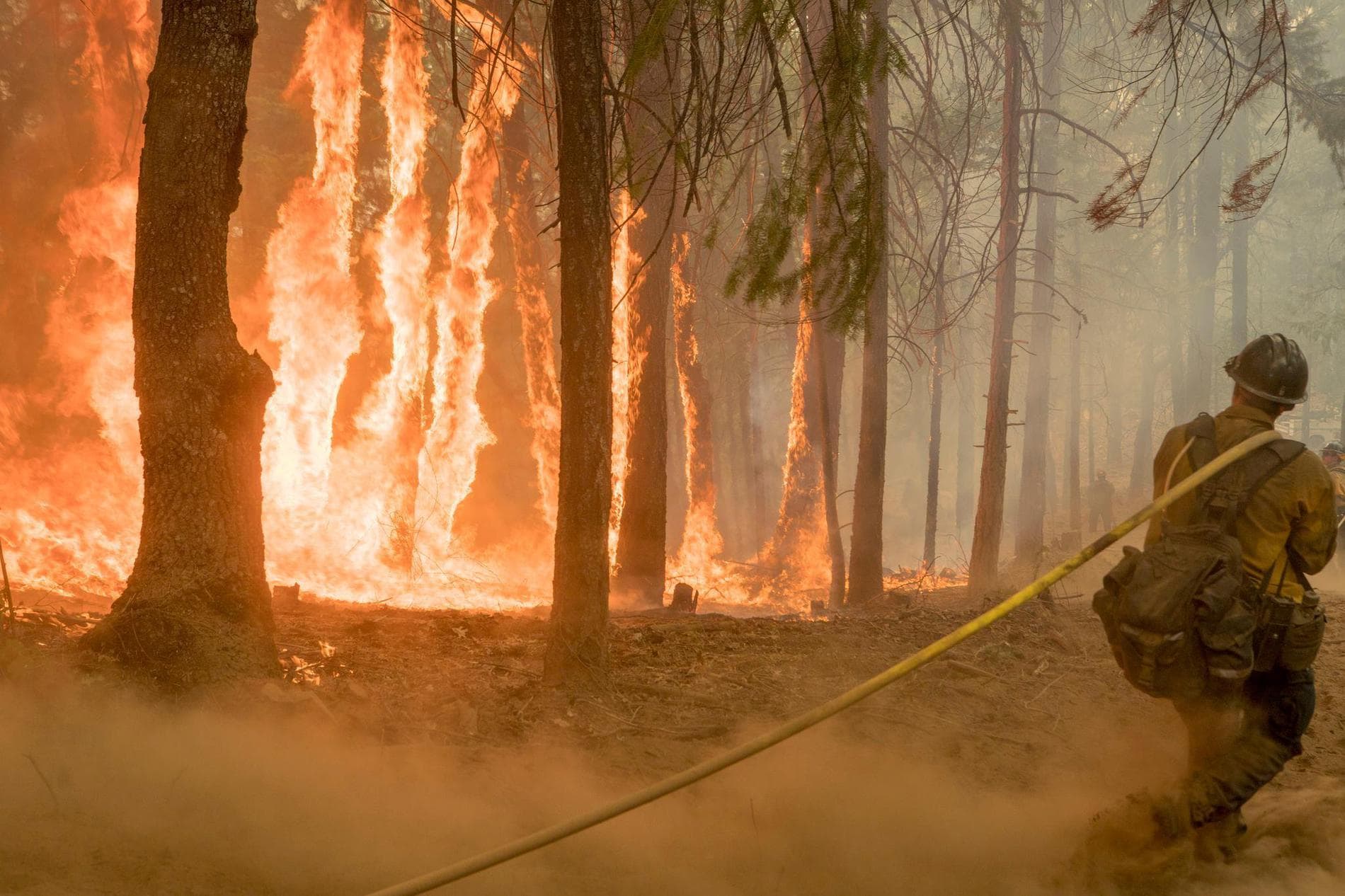 California wildfire