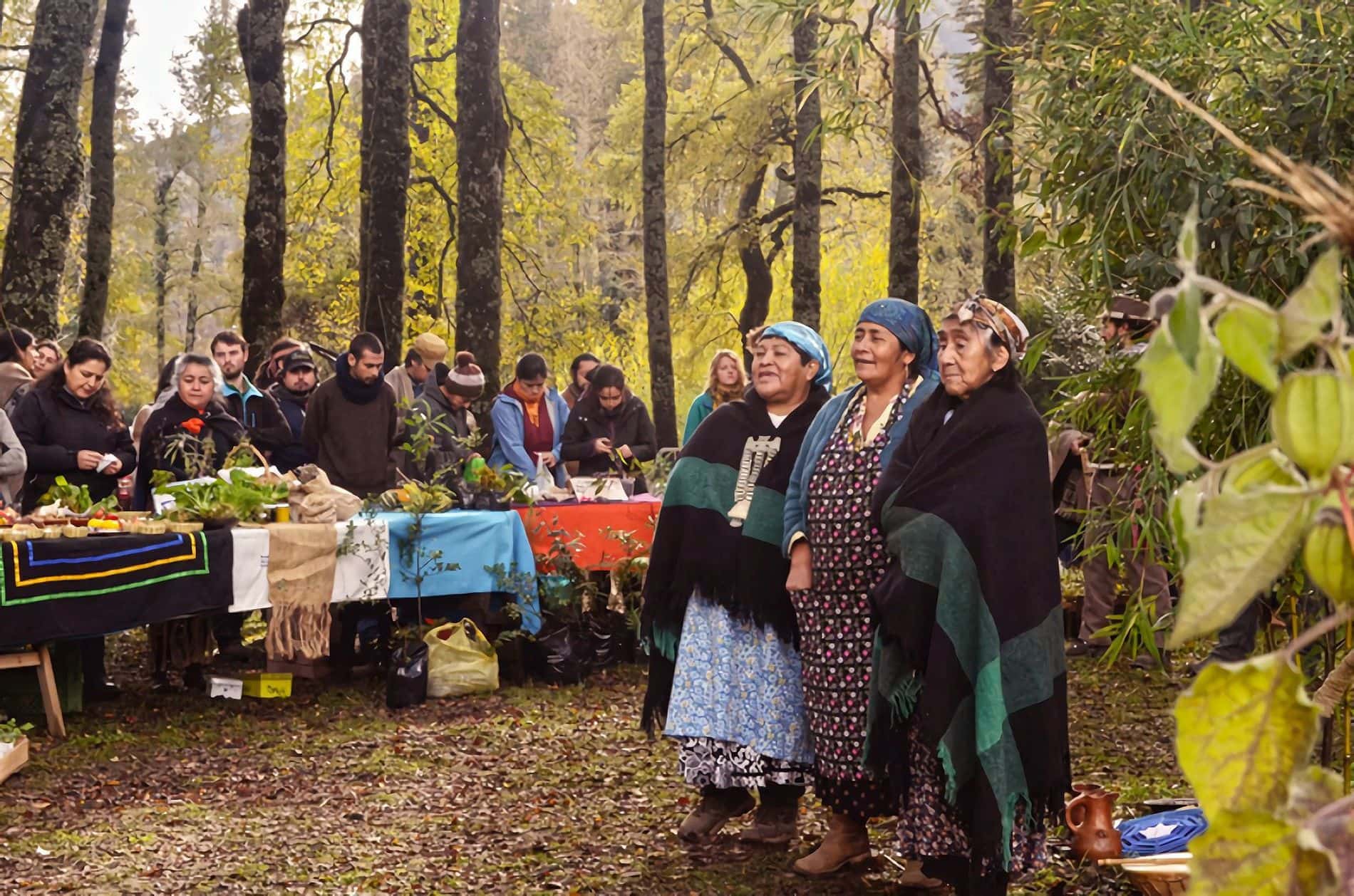 The rights of Indigenous Peoples are key to saving our global ecosystems