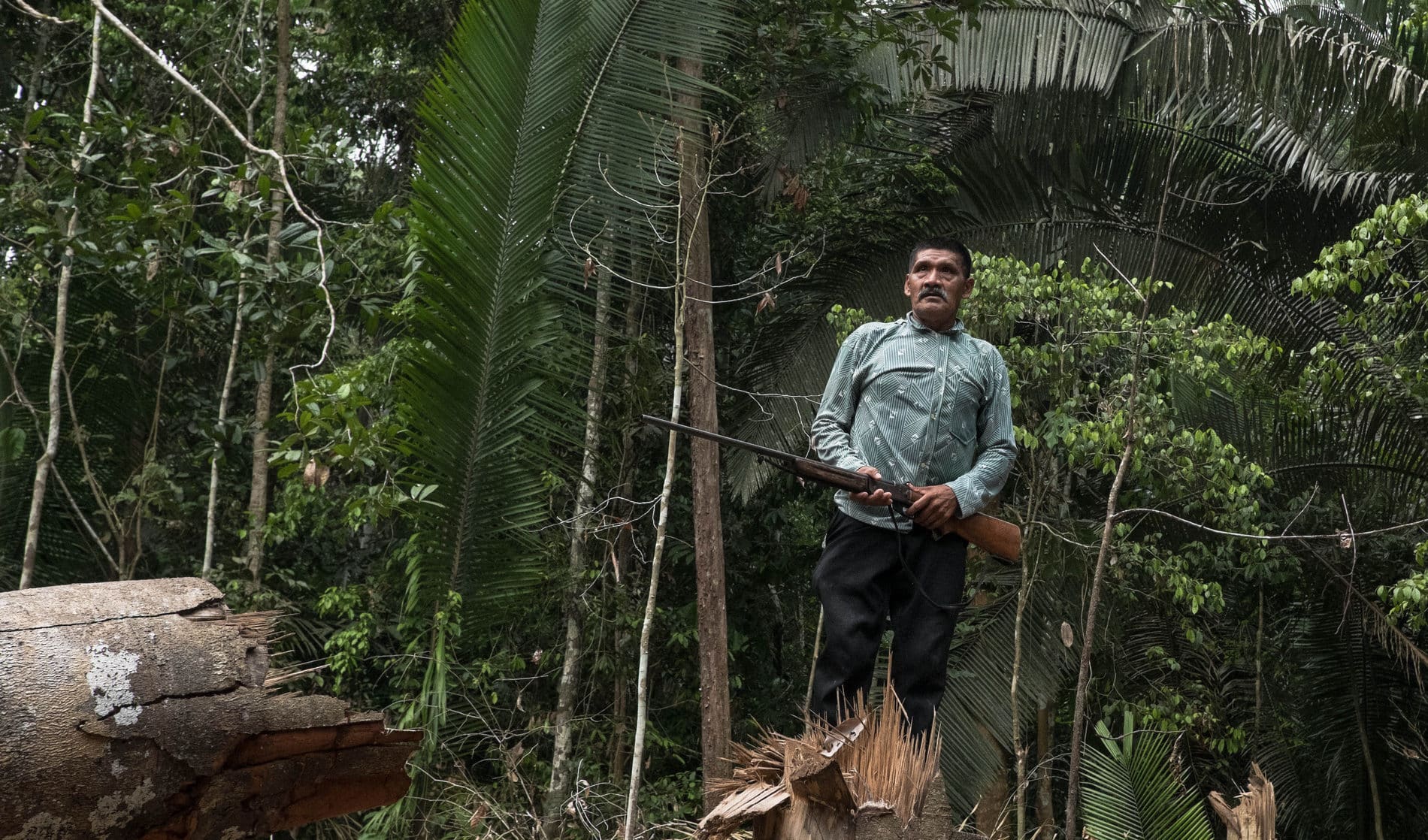 Indigenous Karipuna Aripã in a Deforested Area inside the Karipuna Reserve