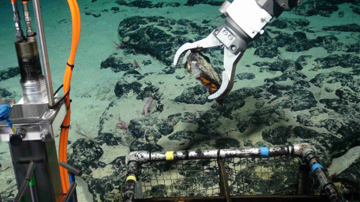 Deep sea mining threatens indigenous culture in Papua New Guinea ...