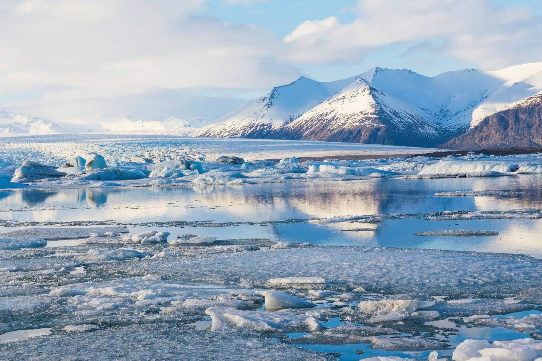 Arctic word games or Indigenous survival?