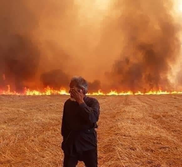 Crop fires target local farmers