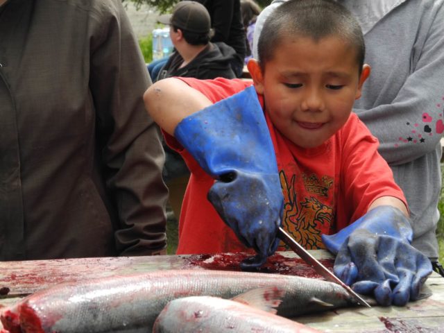 Youth cutting salmon at the Curyung Tribal Culture Camp