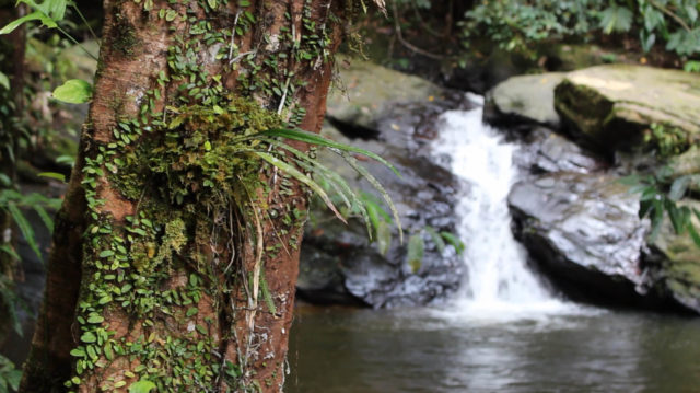 Micro hydro water source