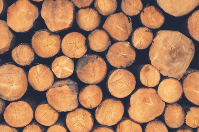 Deforestation industry logging 481496(1)