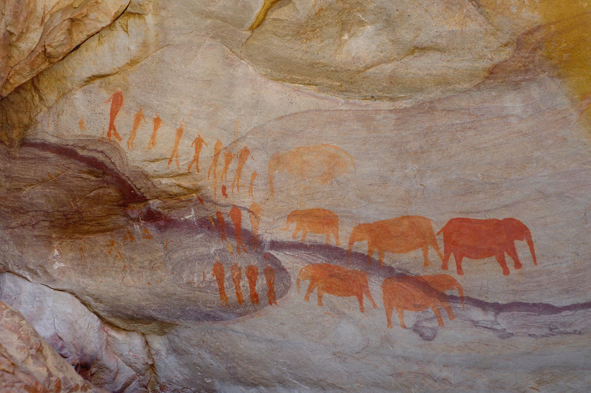 Biodiversity is the highest on Indigenous-managed lands