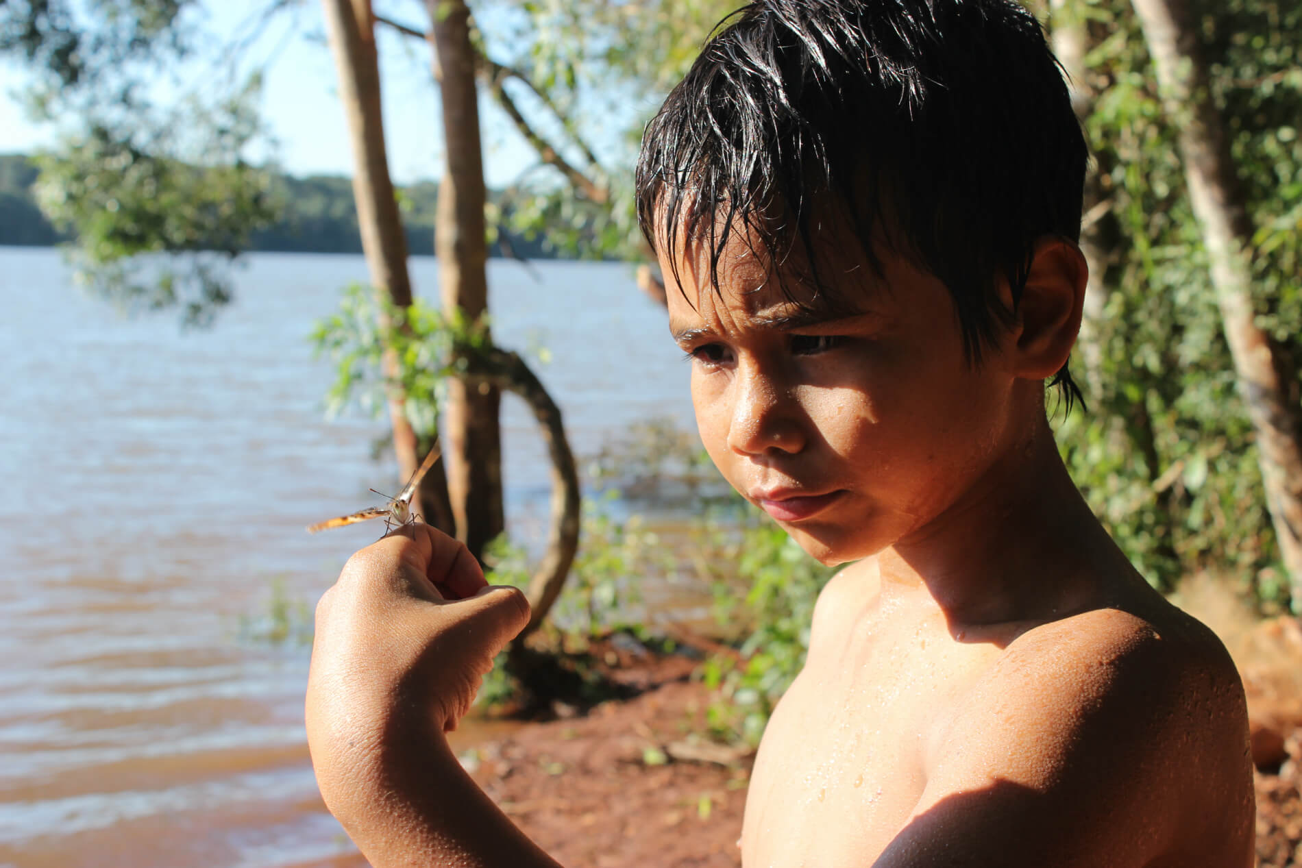 Indigenous Rights Report