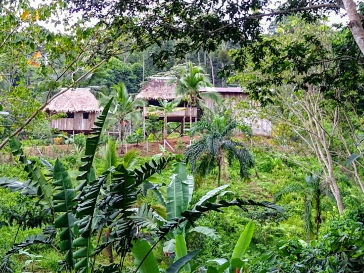 The Naso community of Kuñ Kjing, Naso ancestral lands, Panamá