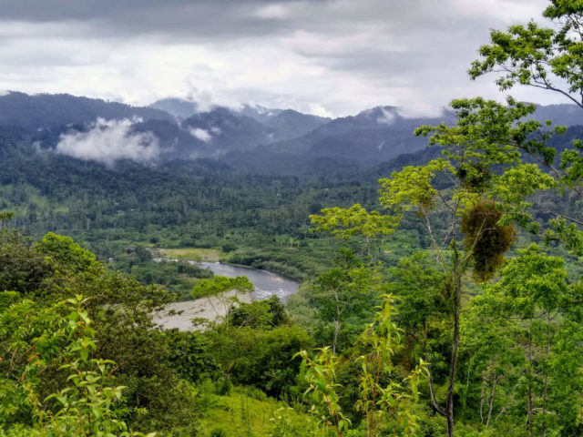IMG 20190718 132233607 HDR~2