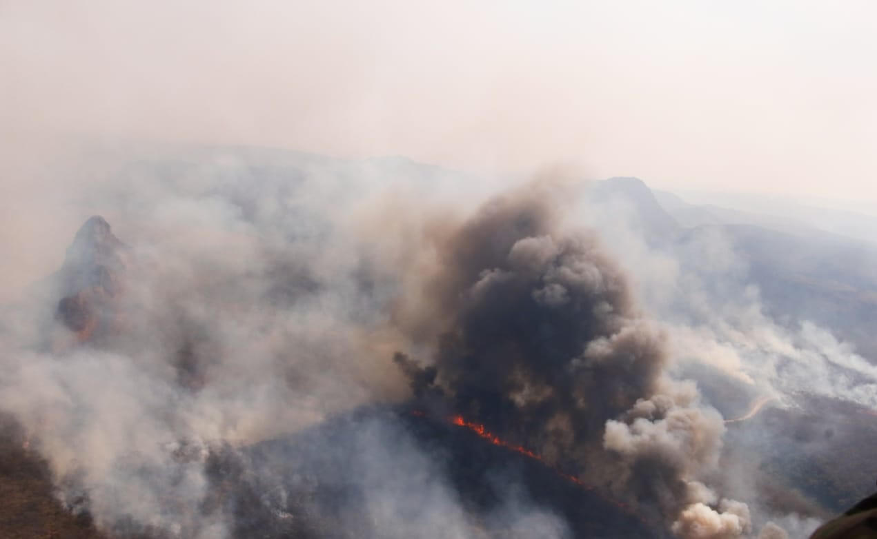 It’s not just Brazil’s Amazon rainforest that’s ablaze – Bolivian fires are threatening people and wildlife